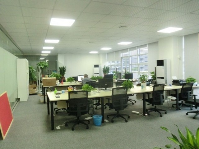 成都钢丝绳皮带剥皮机报价